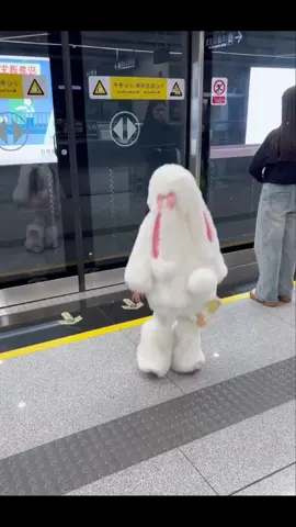 Soooooo cute!#chinesebabygirl #bunny #childrenclothes #cutebabies 