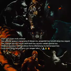 #selamat malam jumat#selamat bermeditasi#malam baraseh #anggotaPMTBBR#setanahdayak #satukomando#pangalangokjilah 🌾🇧🇪🌾🇧🇪