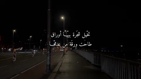 ᷂قّ ₁₄₈ : ᷂ابشرك ᷂ضيعت ᷂انسان ᷂مسلم ᷂روحه💔@؟.#foryou #fypシ #اكسبلور #سيف_عامر 