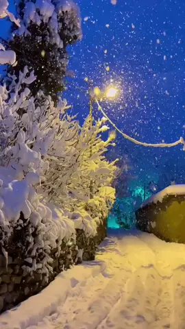 #❤#دەڤەری باڵەکایەتی گوندی گرتک