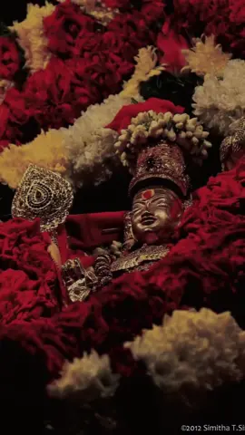 @Johnraj #vadibel ennai kaakkum vadivelava #murugan #Tamil pakthi song status 🌺🌹🌸🌻