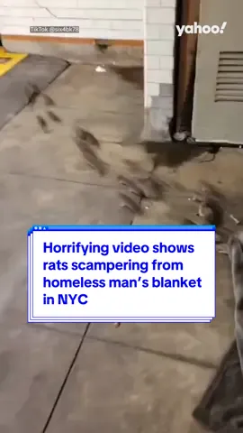 Horrifying video shows #rats  scampering from homeless man’s blanket in #NYC 🐀 #ratsofnyc #ratsoftiktok #yahooaustralia #newyorkcity