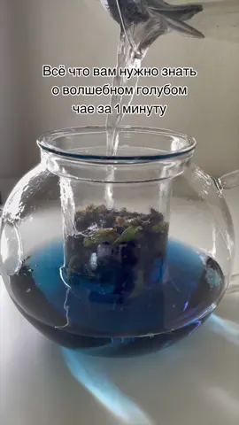 #чай #tea #анчан #клитория #bluebutterflypeaflower #голубойчай #всечтовамнужнознать 