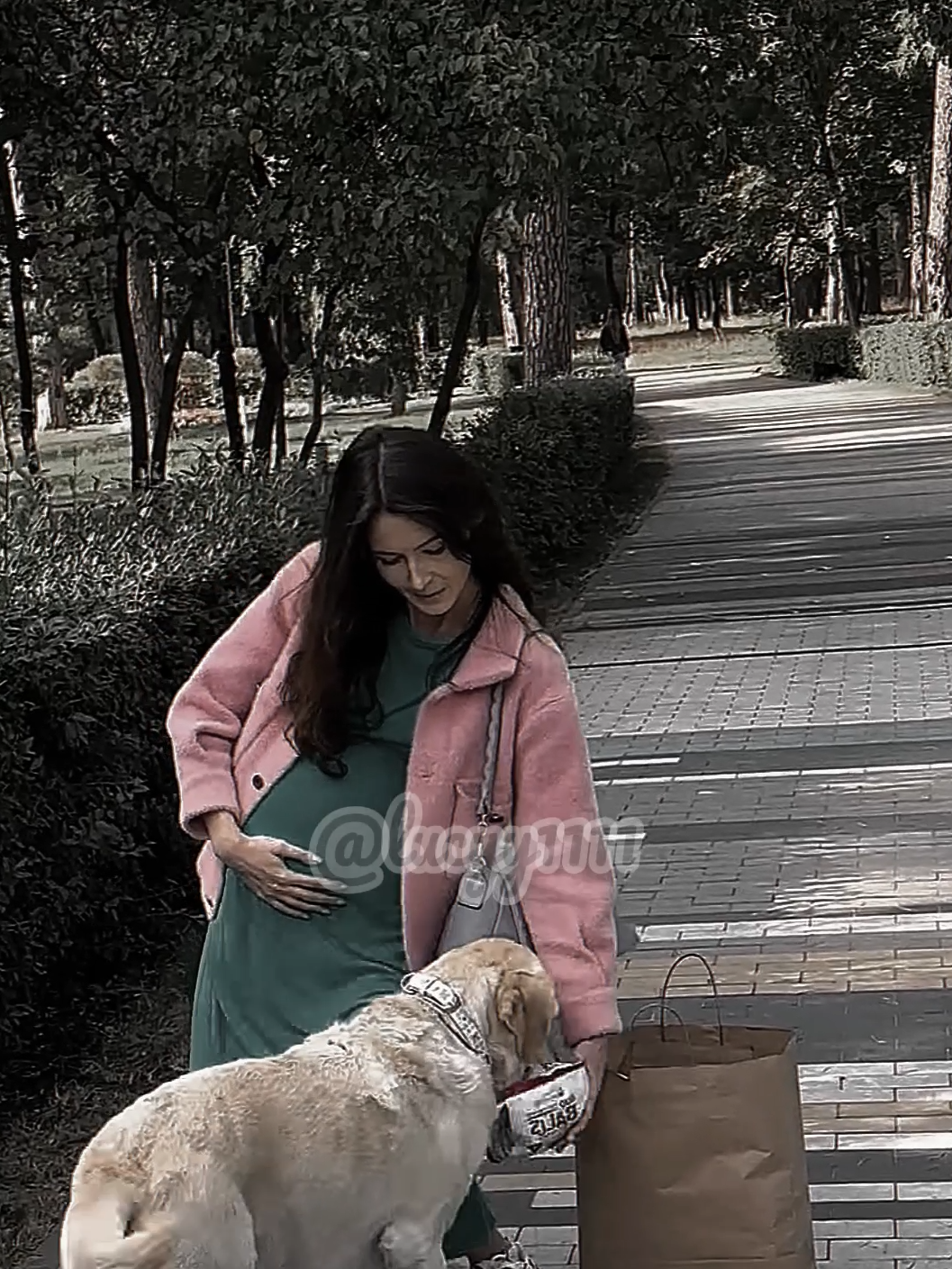 A dog helps a pregnant woman when she drops her shopping #kindness #socialexperiment #respect #viralvideo