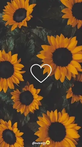 Sonrisa 😊  #virus #alma #daño #sonrie #fypシ゚viral 