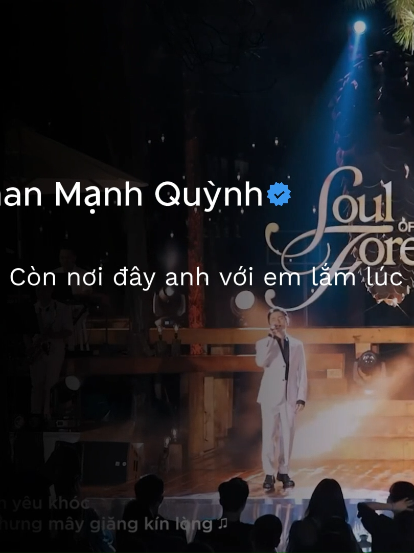 Yêu nhau nửa ngày//Phan Mạnh Quỳnh #lyrics#xuhuong#lyricsvideo#fyp