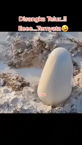 #viralvideo #nature #video #viral #fypシ #foryoupage #foryou #tiktokviralvideos #fyp #tiktokgloball #unik #kjodi 