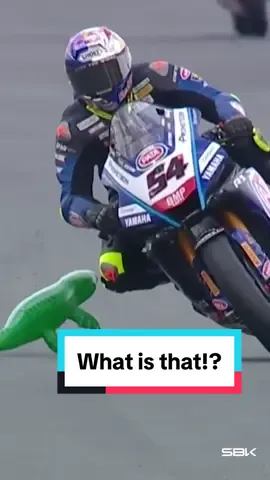 Was this the weirdest moment of last season?! 🐊 @toprak_tr54 encounters a crocodile at Assen! 🔍   #NLDWorldSBK 🇳🇱 #2023SeasonReview #motorcycle #Motorsport #racing #worldsbk