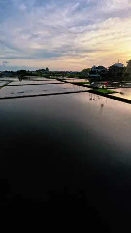 Chasing the sunset will always look beautiful wherever it is shoot on @GoPro hero 11 black  📍sawah tengah kota  #gopro #fpv #fpvdrone #cinematic #sunset #dronecinematic #tempatindah 