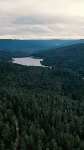 A bird’s-eye view into the magic of the forest. 🌲🌳 Hovering above the treetops, it feels like stepping into another world. The beauty of nature from above – simply breathtaking!  #drone #videography #nature #forest #magicmoments 