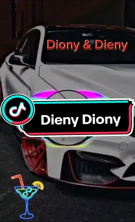 Dieny e Diony Pássaro ferido #modao #apaixonado #modaocigano #foriyou #tiktok 