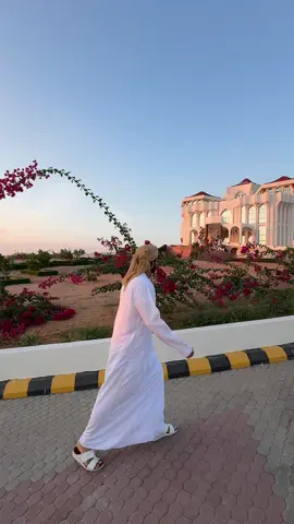 #fyp#القصر الغامض