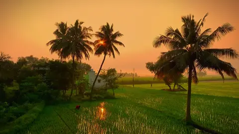 Đủ chill chưa ạ      🥰#Binhyen #sunset #chill #foryou #xuhuong #nhacchill #chill_nature68 