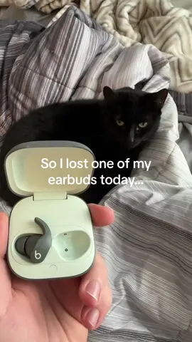 Anyone take a guess where it is? #catsoftiktok #cat #blackcatsoftiktok #airpods 