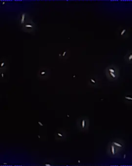 #كرومات _كوردي#حزينہ♬🥺💔 #شعب_الصيني_ماله_حل😂😂 #زاخو_دهوك_هولير_سليماني_ئاكري_سيمي #ملتي_مِڼـّي_حياتي🌚💞🦚 