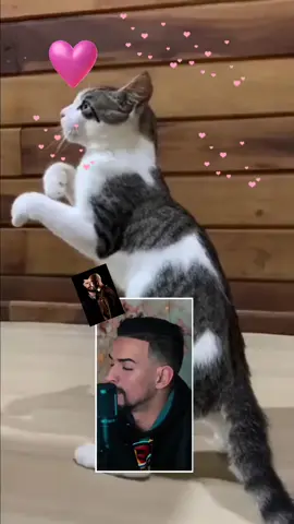 #duo avec @HAMZA 🦅 ASRAR #hamza_asrar #bileltacchini #choufou_lamour_madar_fia #tendance #music #newtrend #tendance_sur_tiktok #viral #explore #duo #goviral #redouanerochefort 