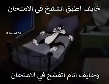 #زنقة_كلاب 😢