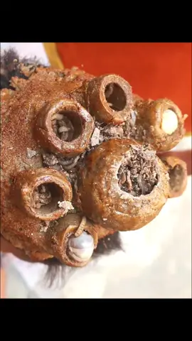 satisfying video #tick #bigtick #satisfying #viral #fyp #omg 