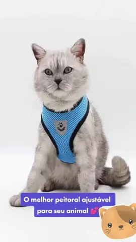Conforto em Passeios: Peitoral com Guia para Cães e Gatos - Colete Regulável e Super Confortável #PeitoralComGuia #PasseiosConfortaveis #ColeteParaCaesEGatos #ConfortoEmPasseios #GuiaRegulavel #PasseiosSeguros #PeitoralAjustavel #ConfortoAnimalesco #GuiaDePasseio #ColeteRegulavel #PasseiosComEstilo #PeitoralParaAnimais #ConfortoParaCachorrosEGatos #EstiloNoPasseio #GuiaParaAnimais #ColeteComRegulagem #PasseiosComSeguranca #PeitoralRegulavel #ConfortoAnimalesco #GuiaConfortavel #PasseiosComGuia #PeitoralEstiloso #ConfortoComEstilo #GuiaParaCaesEGatos #ColeteParaPasseios #PasseiosComColete