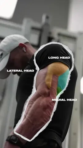 Replying to @Jack Triceps top to btm. Full 6-8 week program 🔗 in profile (get a full week free in me) 🤙🏻 Here are 4 movements that’ll target every portion of your triceps. This isn’t necessarily intended to be a workout, but a guide to movements that target each head effectively. If you don’t want to use two ropes, grab s tricep rope from @Gymreapers Use my code: PERK for 10% off 1️⃣Double Rope Pressdown 🎯 Long Head 2️⃣ Cable Pressdown 🎯 All Three Heads 3️⃣ JM Press 🎯Medial, Lateral Head 4️⃣ Cross-Body Pressdown 🎯 Lateral Head