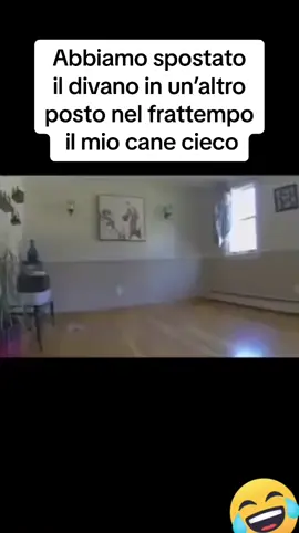😂😂😂 #viral #provaanonridere #andiamoneiperte #perteeee #viralvideo #videoviral #virale #perte #foryou #foryoupage #risate #ridere #videodivertenti #videodivertente #videodivertentissimi 