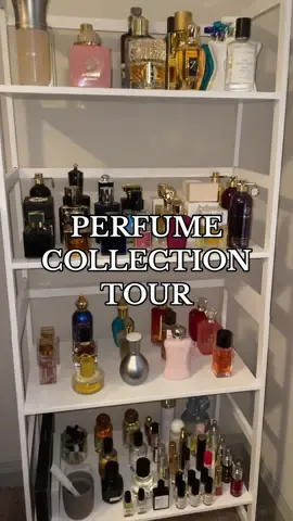 The highly requested perfume collection tour is ready! Lmk what you guys think! ✨ #perfumetiktok #perfumetok #fragrancetiktok #perfumecollection #perfumecollector #perfumeorganization #nicheperfume #luxuryperfume #perfumecollectiontour 