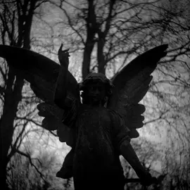 is there a rebellion? #lyrics #music #foryou #avengedsevenfold #a7x #xybca #heretic 