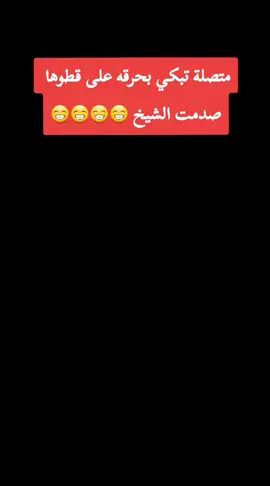 متصلة تبكي بحرقه على قطوها صدمت الشيخ 😁😁😁😁#متابعة #إكسبلور #قلب #تعليق 