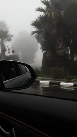 #ضباب #الهدا #الهدا_الطائف #الشتاء #ضباب_الهدا_الطائف #اجواء_الشتاء #الطائف #اكسبلور #اكسبلورexplore #عشوائيات #مالي_خلق_احط_هاشتاقات #الطايف #ترند #explore #trending #taif #winter 