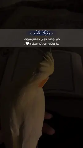 چەند جوان دەفەرمووێت🤍🌾..#fyp #foryoupage #foryou #tiktok #_7amma 