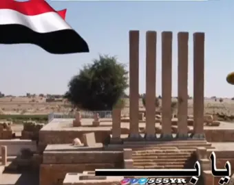 #يابلادي_ياكبرياء_جراح 