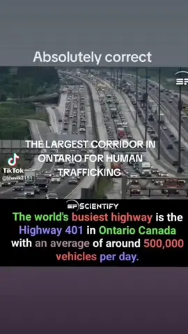 STOP HUMAN TRAFFICKING 