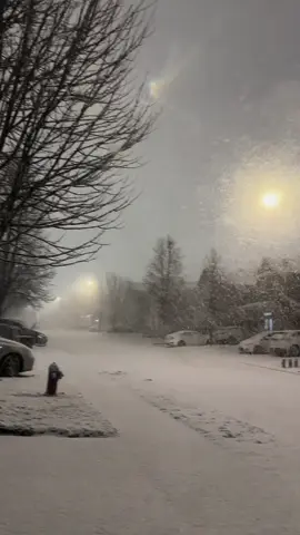 Sau bao ngày chờ đợi thì tối nay tuyết rơi trắng trời. 🥶 #snow #toronto #canada #dhsvietnam_canada #trending 