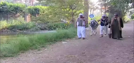 طاش ماطاش (ياحيـاة الغيـط) #عبدالله_السدحان #ناصر_القصبي #طاش_ما_طاش #السعودية #اكسبلور #foryou #fyp #foryoupage 