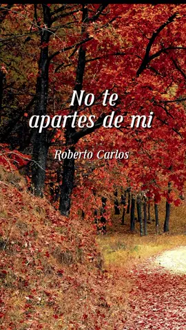 No te apartes de mi - Roberto Carlos #musicaparati #exitosinolvidables #musicaromanticas #baladaspararecordar 
