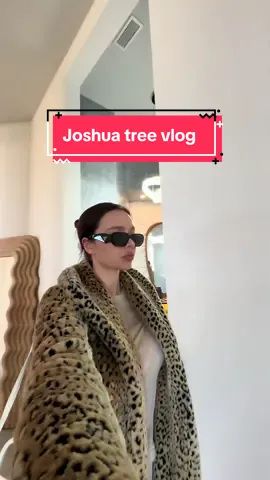 joshua tree vlog 🌵 