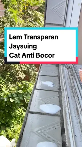 Lem Transparan Jaysuing Cat Anti Bocor Waterproof  #lemserbaguna #lemtembok #lemwaterproof #lemjaysuing #lemantibocor #lemtransparanviral 