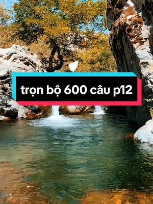 ôn tập 600 câu lý thuyết #hoclaixe #hocmeolaixe #ontap600caulythuyet #thaytuandaymeo600cau 