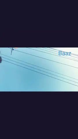 Pakistani #Baaz 🦅🐍