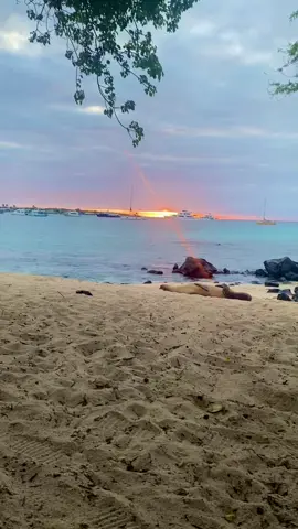 #lejosdecasa #atardeceresperfectos #playa #galapagossancristobal🐢 #parati #ecuador #nuevavida 