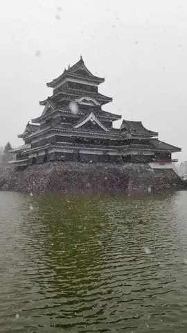 Snow flakes keeps falling on my head while strolling at Matsumoto Castle... #muybienvideos  #traveljapan  #traveltiktok  #snowfall  #snowflakes  #matsumoto #foryoupage  #fypシ゚  #fyp  #huaweip50pro #japan2024 