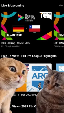 𝐍𝐨 𝐠𝐞𝐨𝐛𝐥𝐨𝐜𝐤𝐢𝐧𝐠 𝐨𝐧 𝐖𝐚𝐭𝐜𝐡.𝐇𝐨𝐜𝐤𝐞𝐲 𝐢𝐧 𝟐𝟎𝟐𝟒! #𝐄𝐧𝐫𝐨𝐮𝐭𝐞𝐓𝐨𝐏𝐚𝐫𝐢𝐬 #Cat #catmemes #Hockey #hockeyEquals #HockeyInvites #Reels #Catreels #Memes #funnycats #Paris2024 #viralreels #viralvideos #catsofinstagram #trending #memesdaily