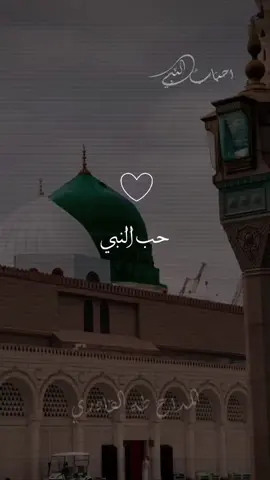 حب النبي مو اي قلب يرهملُ #صوفيه #مديح # #viral #fypシ #لا_اله_الا_الله #مديح_الصوفية #نقشبندي 