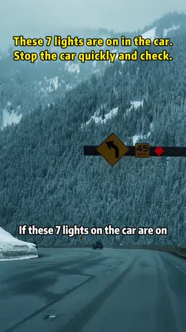 When the car trouble light comes on, be sure to save your life as soon as possible!#driving  #tips  #howto  #manual  #skills  #car