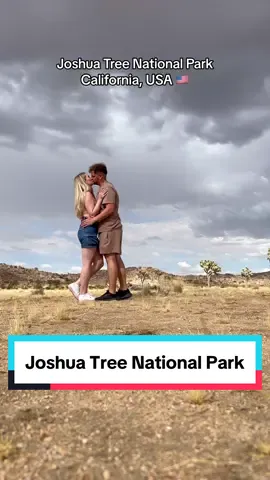 Wart ihr schon mal in Kalifornien?🇺🇸☀️ #viral #fy #fyp #joshuatree #joshuatreenationalpark 