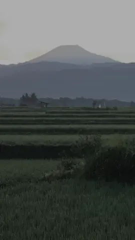 #CapCut jangan menjelekan nama orang lain, demi kepentingan pribadi😊#storywa #fvpシ #beranda #sampitaknyeni 