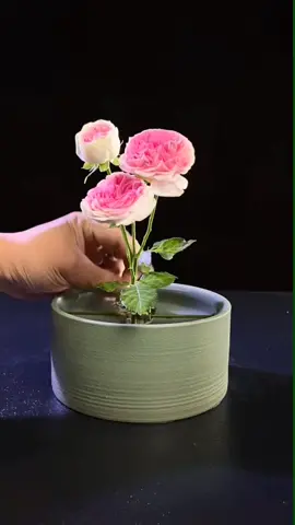 #tipsandtricks #tutorial #diyproject #flowers #ideatimes #satisfying #foryou #fypシ 