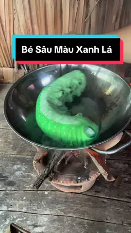 Con Sâu Màu Xa Lánh 😂 #LearOnTikTok #tiktokgiaitri #ancungtiktok😍 #KỳNamQui #bepquetihon 