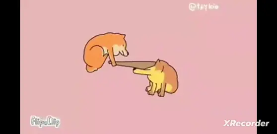 bonk #cheems#bonk#cho#animate 