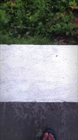 #fyp #fypシ #foryourpage 